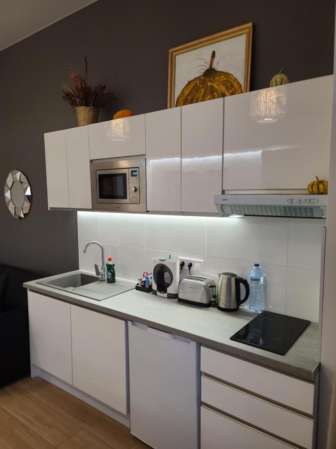 Artes Hlius Luxury Appartement *
